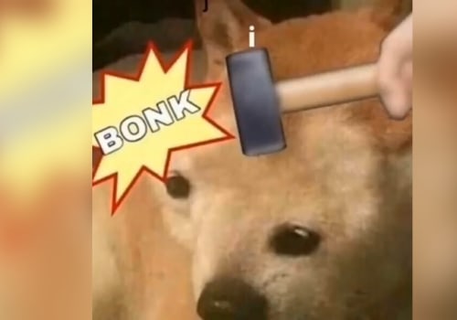 What kind of word is bonk?
